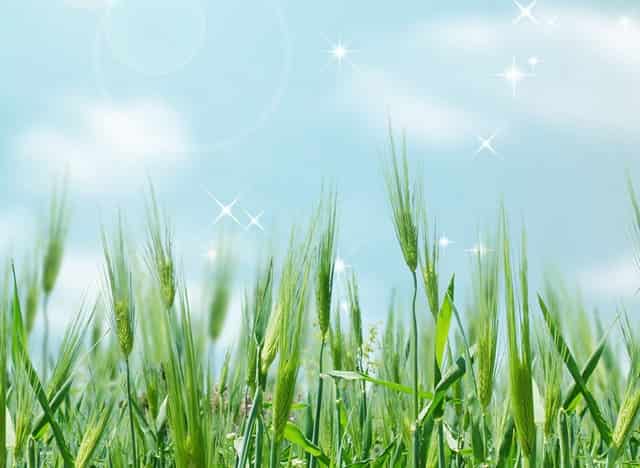 感染了幽门螺杆菌有什么不良反应